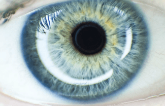 Close up image of a blue eye